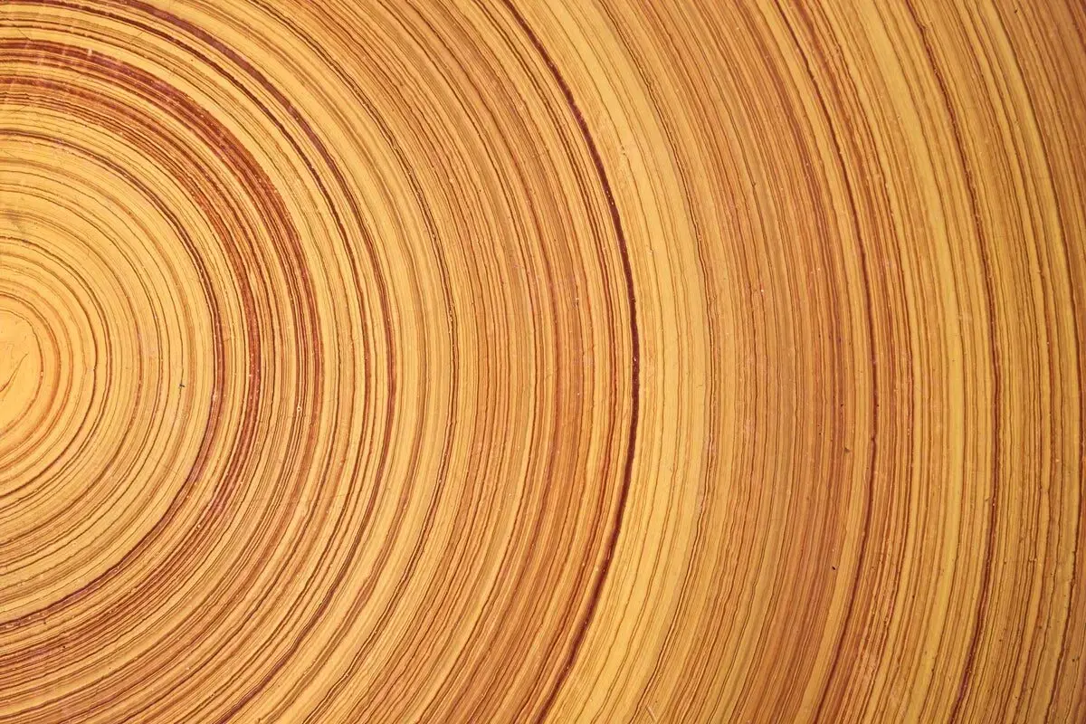 Melamine
