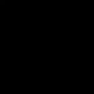 NS 41