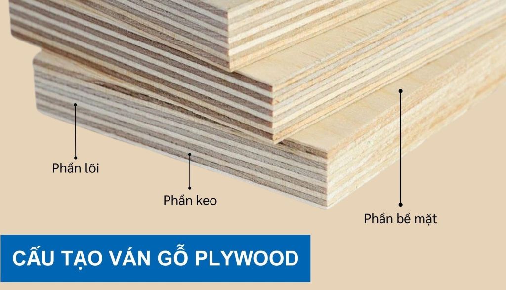 Các loại gỗ Plywood phổ biến hiện nay